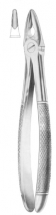  MEAD (MD 1) upper anteriors, roots, incisors, canines 